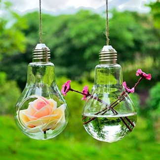 3pcs-lot-hanging-glass-light-bulb-planter-vase-air-plant-terrarium-for-home-decoration-garden-ornament